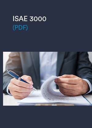 ISAE 3000 (revisionserklæring)