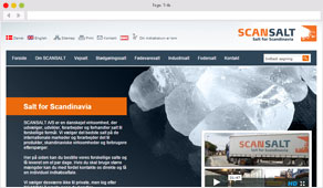 Scansalt